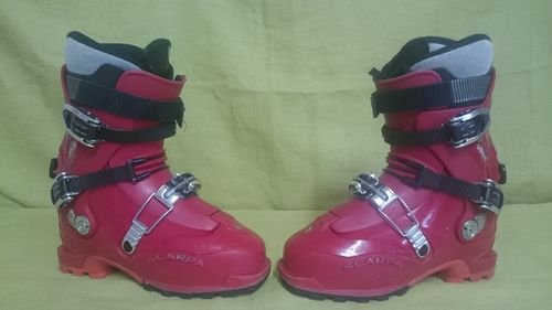 SCARPA VENUS  Nº 25